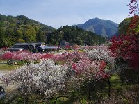IMG 7584