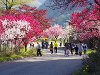 目立ちますね！　黄色！！　
