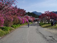 こちらは、お淑やか❣