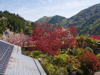 IMG 7594