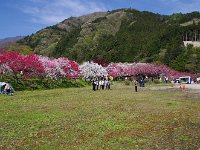 同窓会とか？　　同じような世代ですね