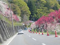 IMG 7627