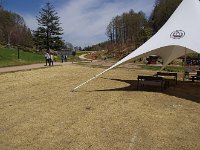 IMG 7689