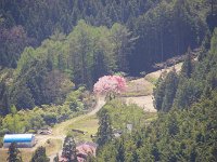 IMG 7727