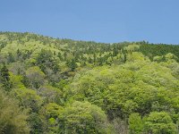 今日も良い天気！　諸天善神有難う