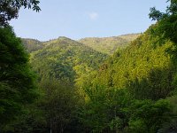 山深い！！