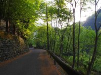 IMG 7771
