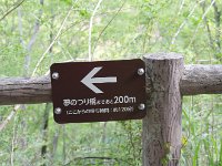 IMG 7825