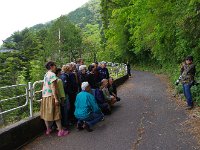 ビックリ、外国人グループのツアー