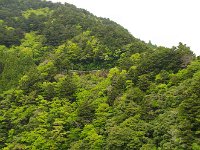 あそこが展望台
