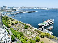 DSC 0197  薔薇園遠望