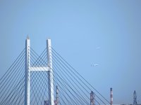 DSC 0218  飛行機！