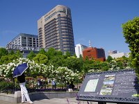 IMG 8076  ここから薔薇園です