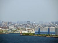 IMG 8250  かすかに、スカイツリーが・・・