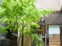 DSC 0134  ここで「おにぎり」とはすごい！