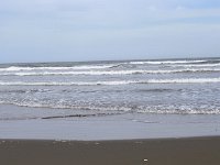 DSC 0302