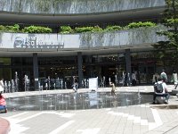 IMG 0229