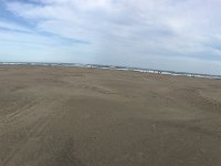 IMG 3270  九十九里浜本須賀海岸・・・広～い！！