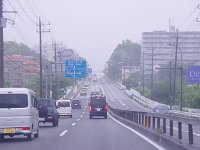 IMG 7037  濃霧の出だしでした
