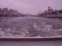 IMG 7095