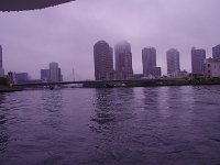 IMG 7124