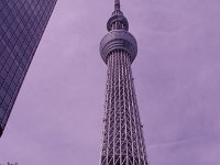 IMG 7197  高い！！！