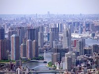 IMG 7223  臨海地区・・・ノッポが沢山！