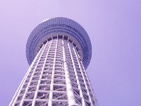 IMG 7259