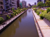 IMG 7262  きらめいていた運河