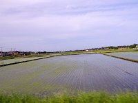 IMG 7303  岡をくだると広大な田圃