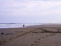 IMG 7329