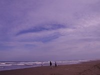 IMG 7338