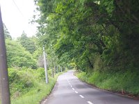 IMG 7386  山道を抜けて