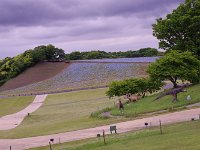 IMG 7397  展望台より