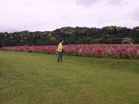 IMG 7454