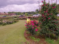 IMG 7505