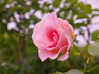 IMG 7512