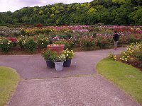 IMG 7558