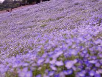 IMG 7575