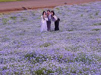 IMG 7598