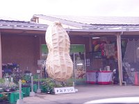 IMG 7635  道の駅：木更津