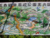IMG 0691