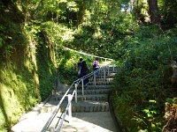 何時の時代に整備された参道なのでしょうね。