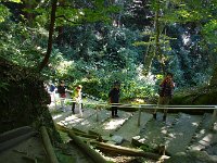 ご婦人方も一所懸命登ってきます。