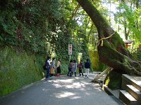 脆い岩なので「がけ崩れ注意」は良く分かります。