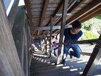 頑張って登ってきます