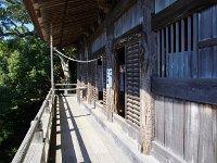 IMG 0714