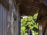 IMG 0723