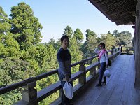 IMG 0729