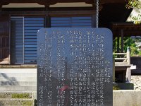 IMG 0775